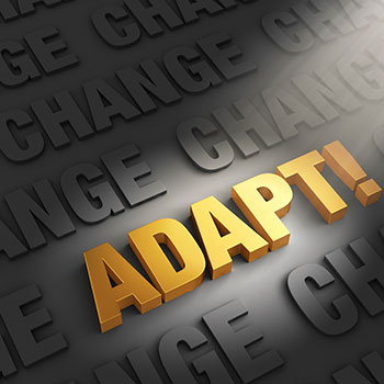 adapt